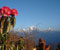 Dhaulagiri View from Poon Hill